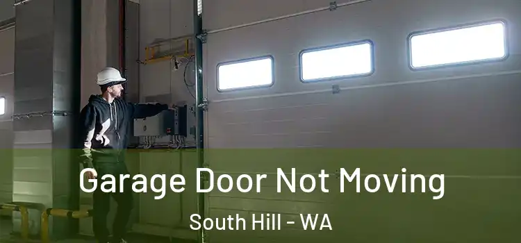  Garage Door Not Moving South Hill - WA